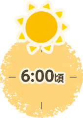 6：00頃